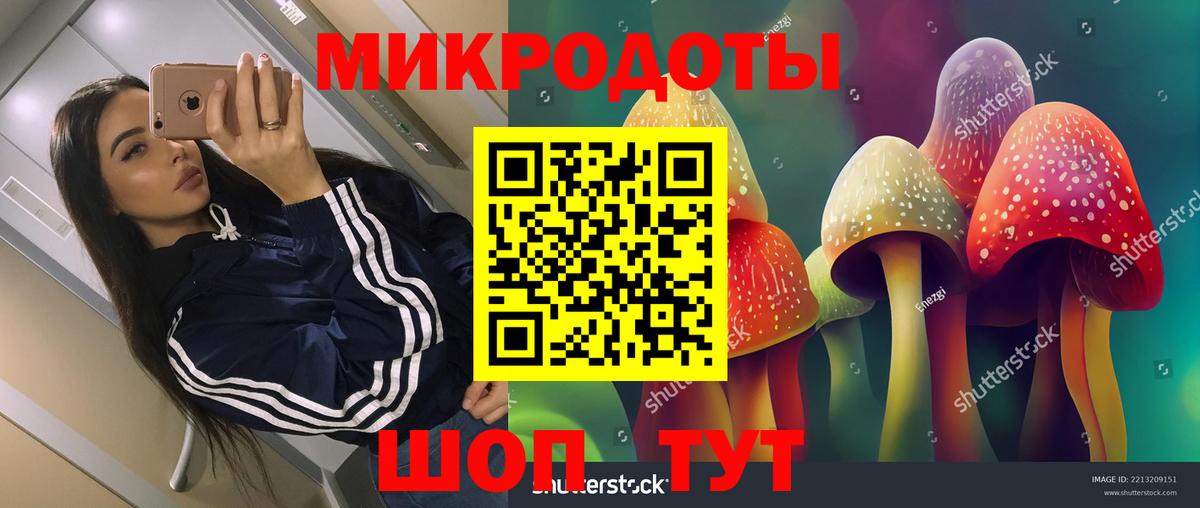 Галлюциногенные грибы GOLDEN TEACHER  купить наркотик  Гусиноозёрск  Вход с VPN 